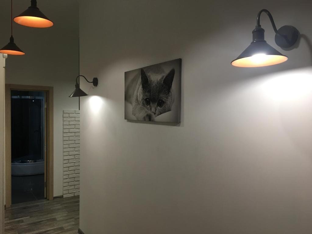 Comfort Place In The City Centre ايفانو - فرانكيفسك المظهر الخارجي الصورة